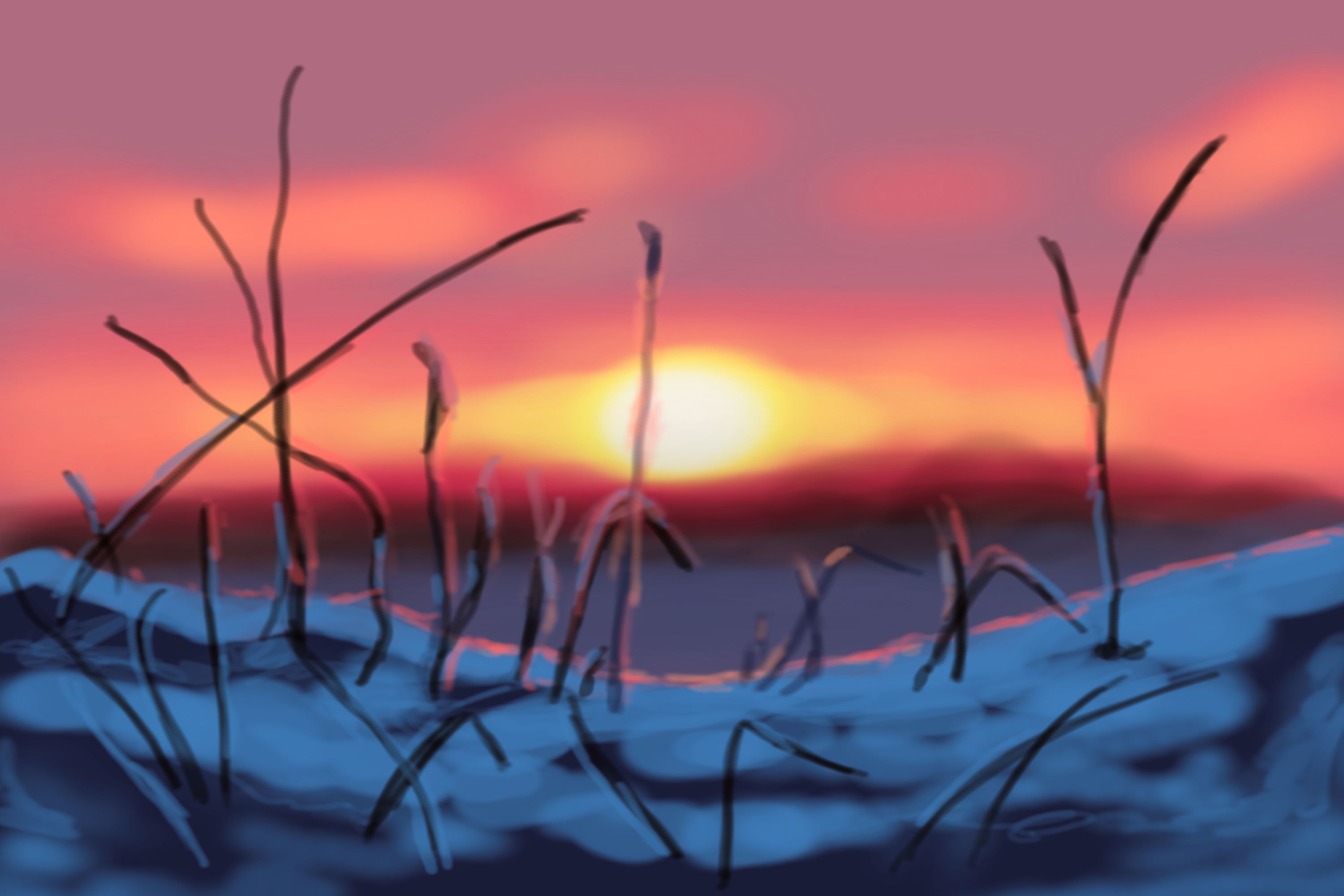 Winter_Snow_Sunset